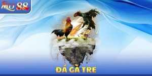 Đá Gà Tre