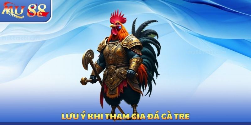 Lưu ý khi tham gia đá gà tre