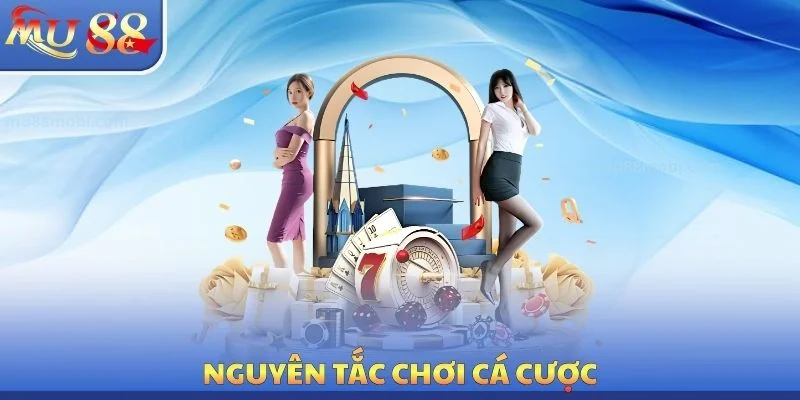 Nguyên tắc chơi cá cược